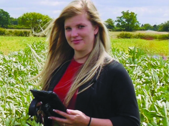 Green pea promises yield and disease resistance for growers