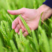Tool unlocks soil NPK availability for smarter nutrition decisions