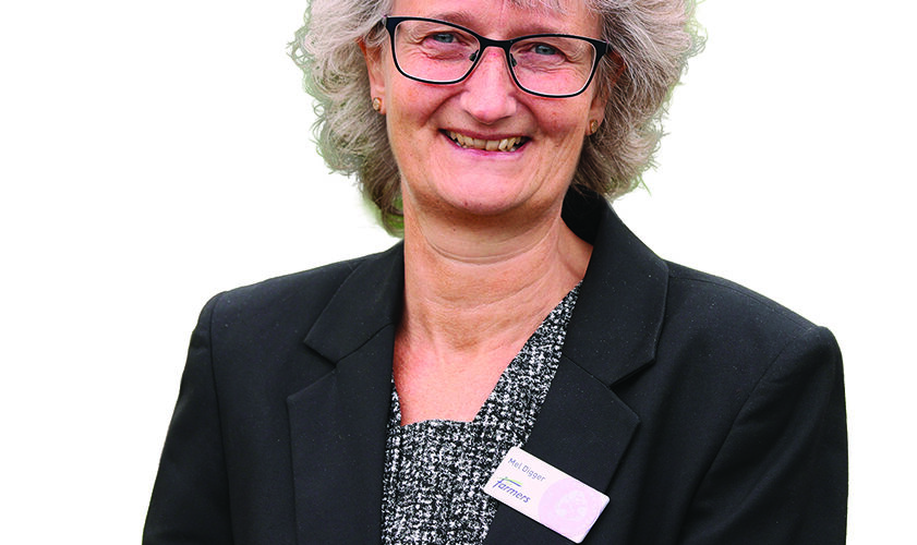 Wet winter forces reset on grass and forage