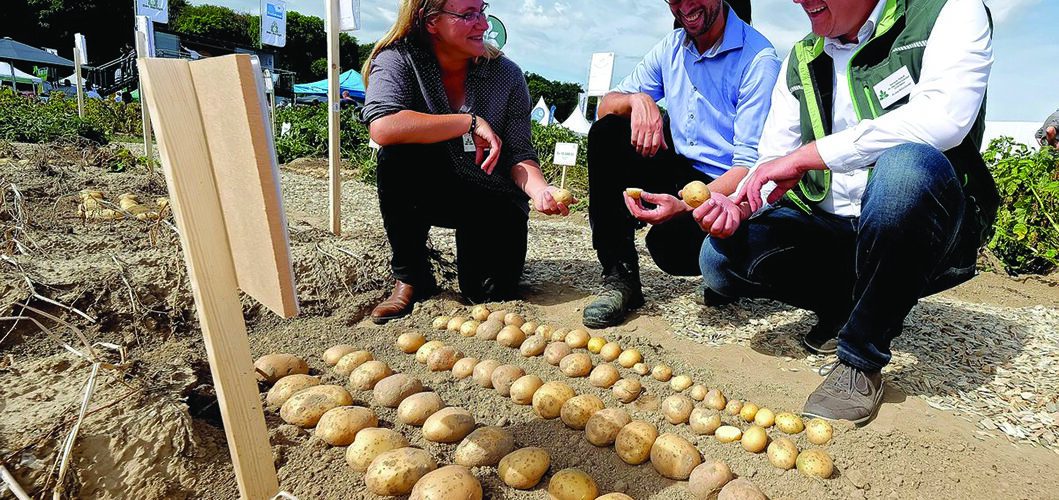 Growers reassess ventilation as storage demands rise