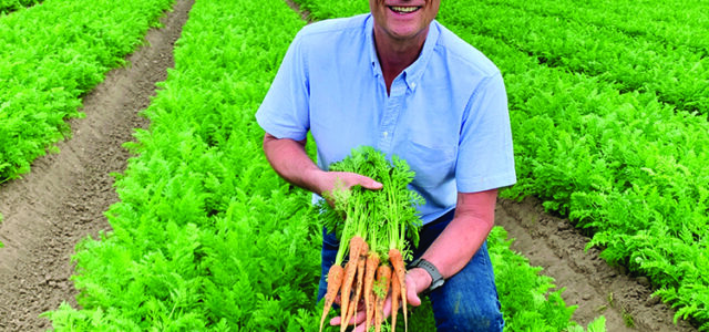 Carrot growers launch schools competition