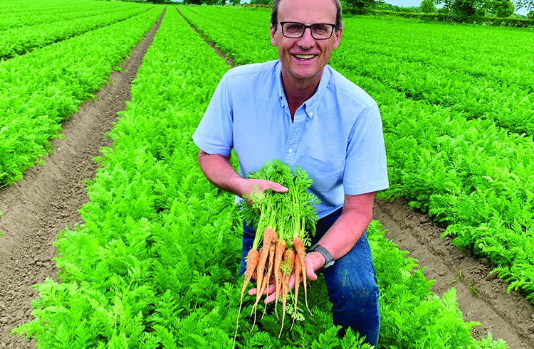 Carrot growers launch schools competition