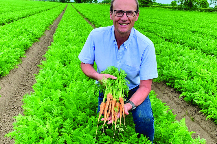 Carrot growers launch schools competition