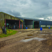 Farm inspections intensify as watchdog targets pollution