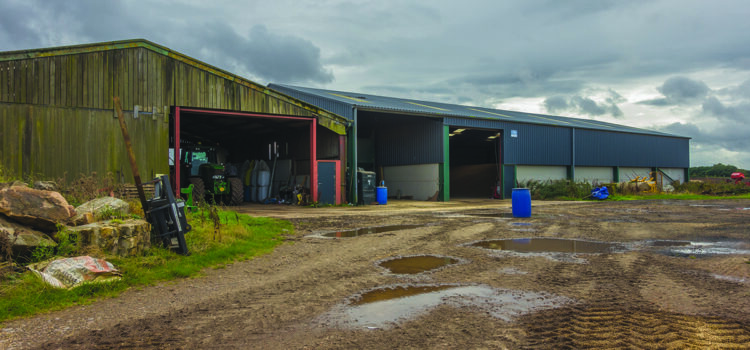 Farm inspections intensify as watchdog targets pollution