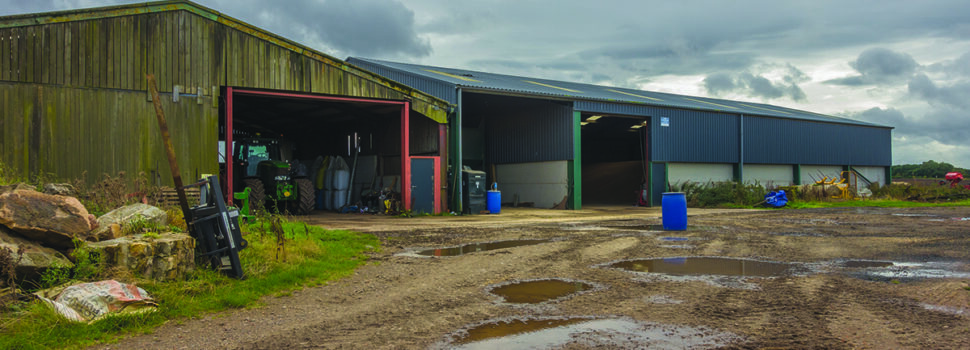 Farm inspections intensify as watchdog targets pollution