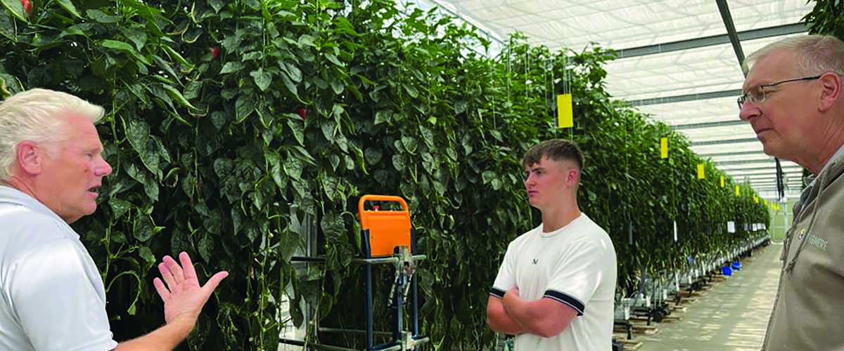 Agri-food apprenticeships launched for school leavers
