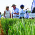 Agronomy Zone showcases range of practical solutions at Cereals