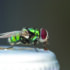 Emergency tool forecasts blowfly strike risk