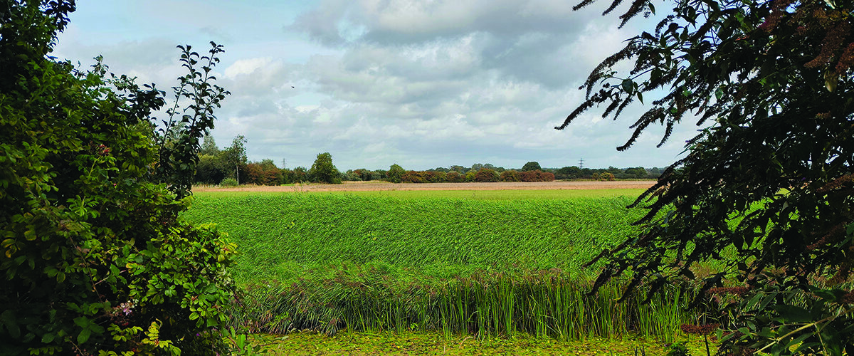 Farmland market holds steady despite caution