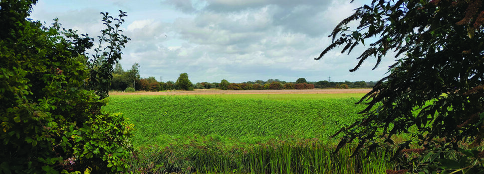 Farmland market holds steady despite caution