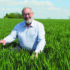 Top soft wheat tightens grip on UK market