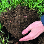Demonstration farm planned to showcase drills