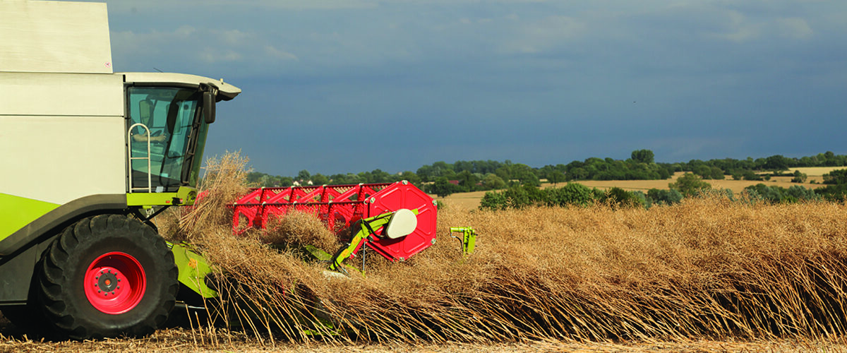 Battle over future of harvest glyphosate