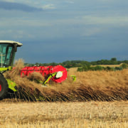 Battle over future of harvest glyphosate