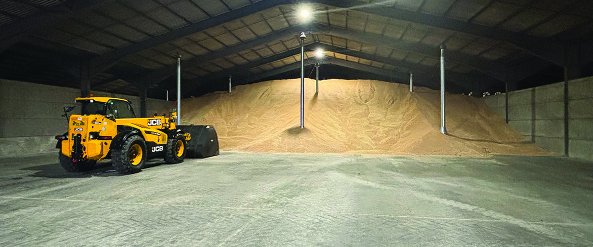Pre-harvest preparation pays dividends for grain storage