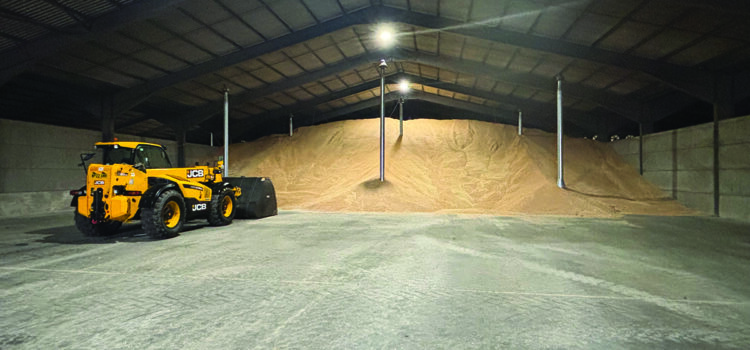 Pre-harvest preparation pays dividends for grain storage