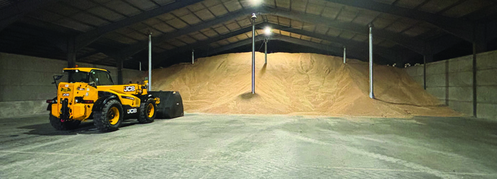 Pre-harvest preparation pays dividends for grain storage