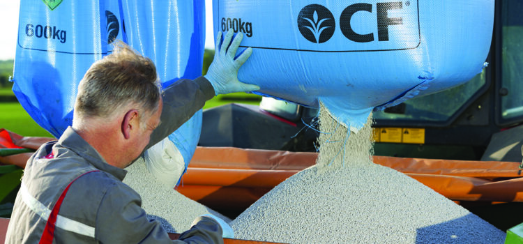 Growers prepare to leave crops undrilled