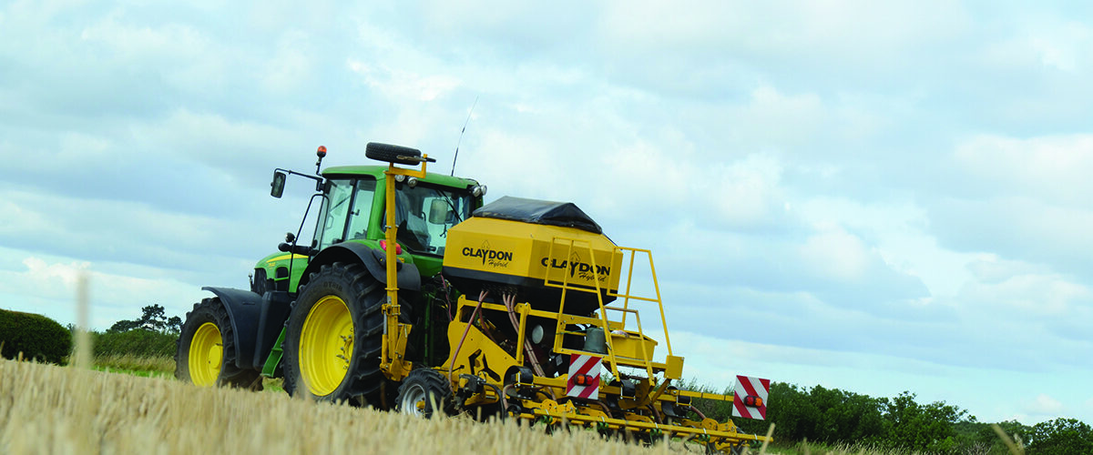 Rape revival continues as crop returns to favour