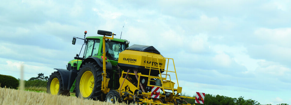 Rape revival continues as crop returns to favour