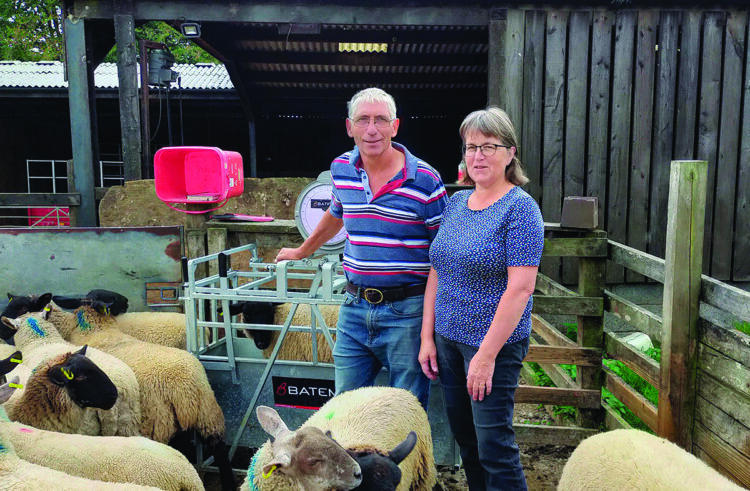 Top tips to tackle sheep lameness