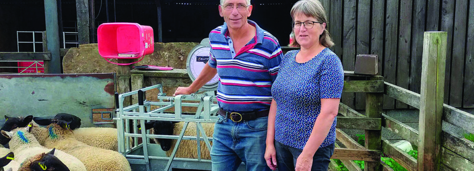 Top tips to tackle sheep lameness