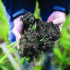 Soil health reshapes land values