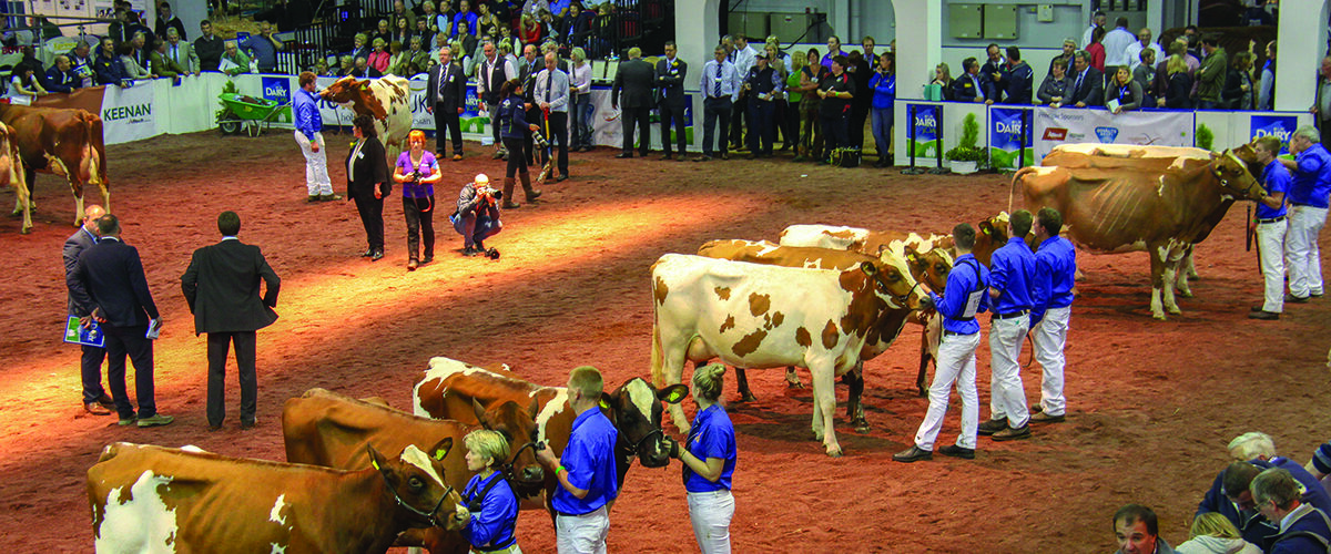 UK Dairy Day gears up for bumper event