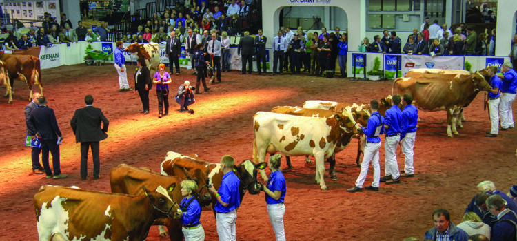 UK Dairy Day gears up for bumper event