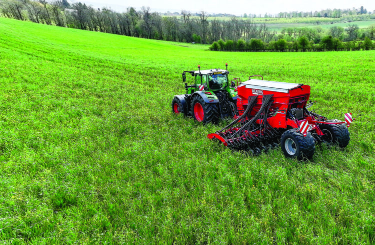 Advice for successful establishment this autumn