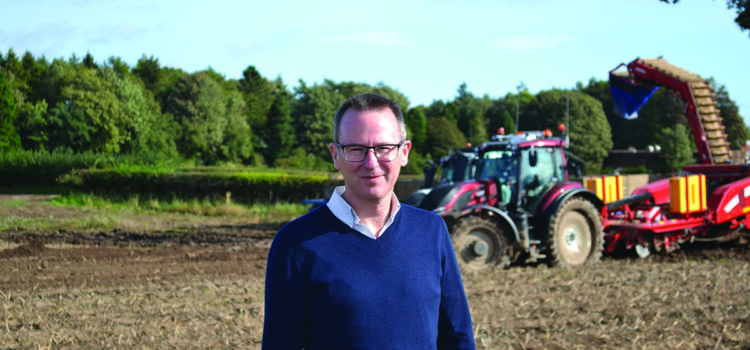 Water security ‘key to Britain’s potato future’