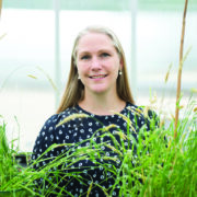 Rothamsted scientists reinforce herbicide resistance strategy
