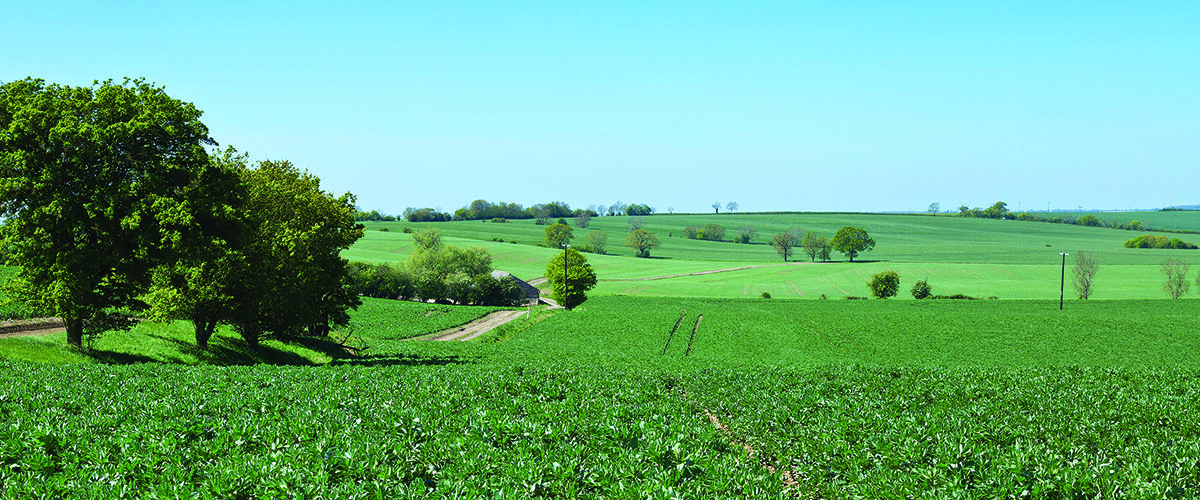 Farm tenancy terms shrink amid market uncertainty