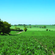 Farm tenancy terms shrink amid market uncertainty