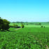 Farm tenancy terms shrink amid market uncertainty