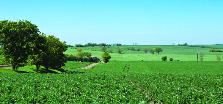 Farm tenancy terms shrink amid market uncertainty