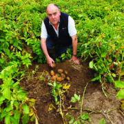 Test soil to sharpen pest management decisions