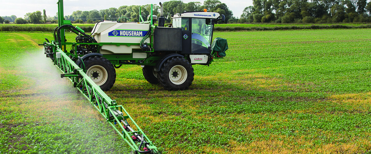 Rape revival puts grassweed control back in focus