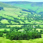 Sheep producer balances livestock and landscape