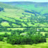 Sheep producer balances livestock and landscape