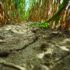 Bank offers drought-hit farms financial support