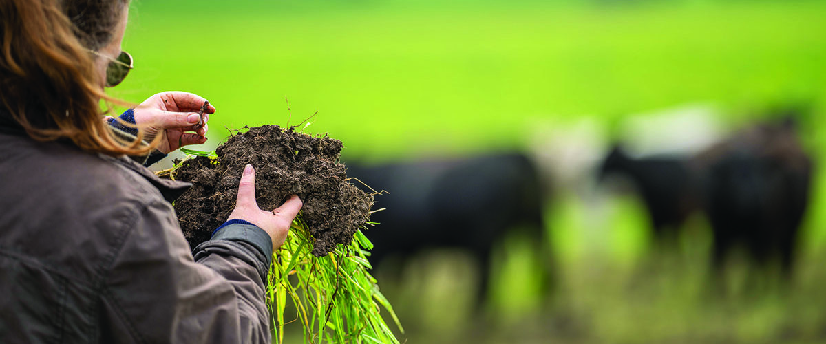 Healthy soils sit at heart of Defra roadmap