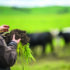 Healthy soils sit at heart of Defra roadmap