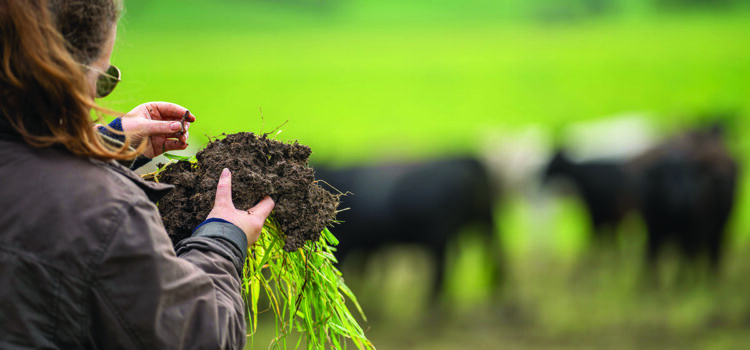 Healthy soils sit at heart of Defra roadmap