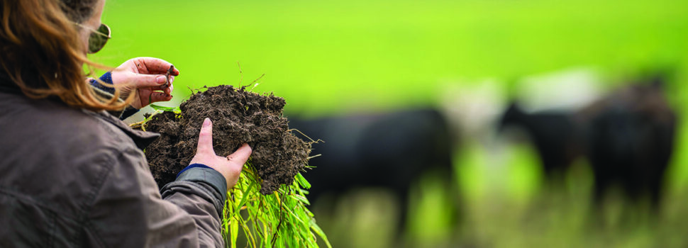 Healthy soils sit at heart of Defra roadmap