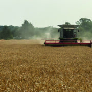 Sparkler shines with repeat orders after drought test