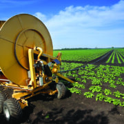 Time to rethink potato irrigation strategy
