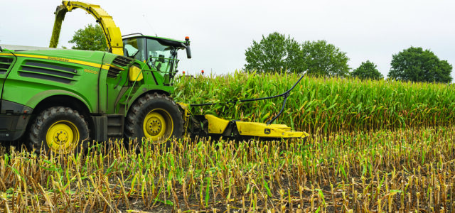 BSPB drops site ratings to simplify maize choice