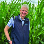 Cover crops can ease winter forage squeeze